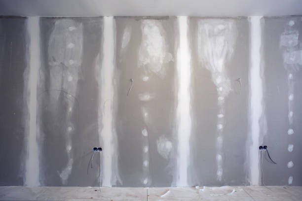Trusted Cressona, PA Mold Removal Experts